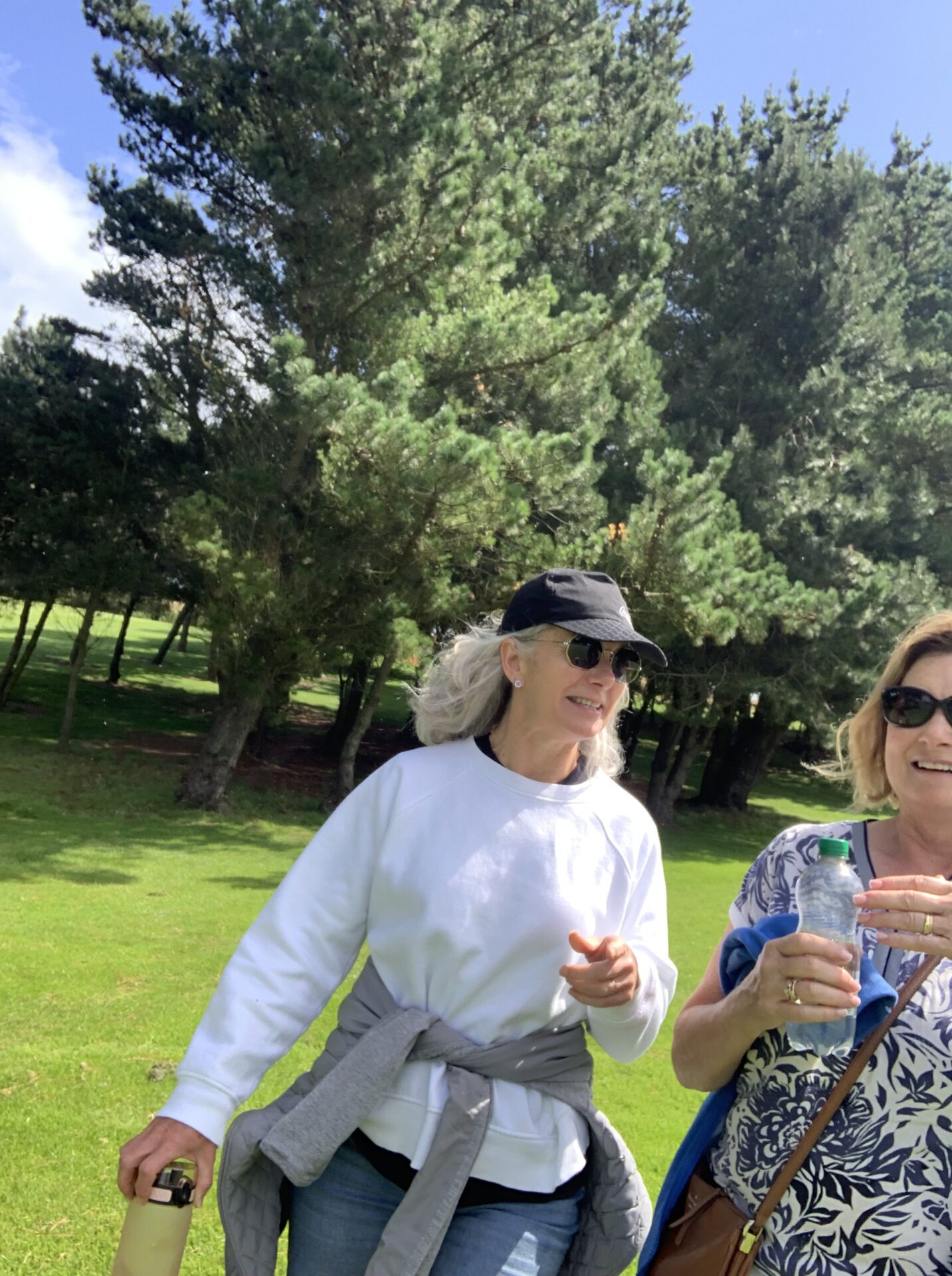 Junior Cup deliver third 2023 GI pennant for Greystones Greystones