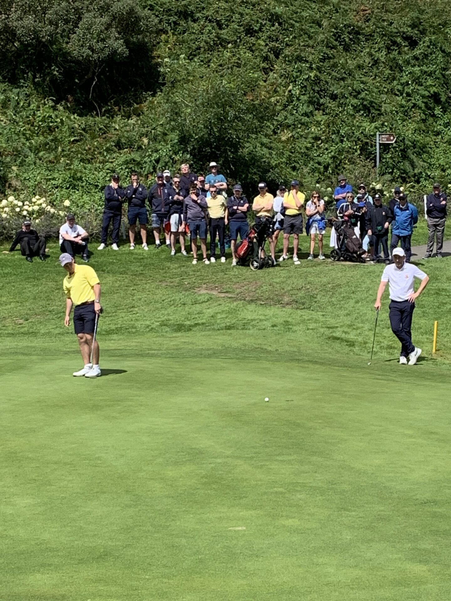 Junior Cup deliver third 2023 GI pennant for Greystones Greystones