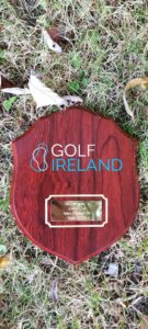 Junior Cup Leinster Final