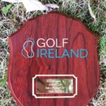Junior Cup Leinster Final